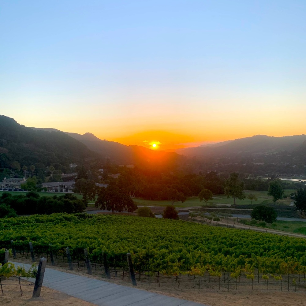 Meet your Posher, Esa